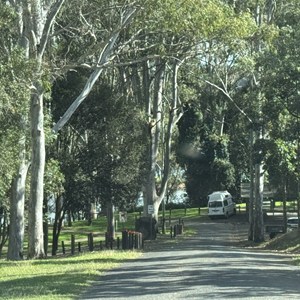 Petrie Park