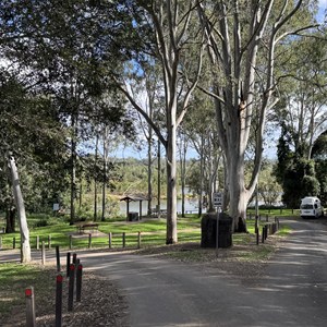 Petrie Park