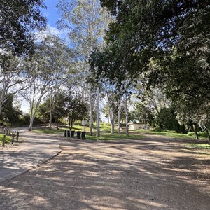 Petrie Park