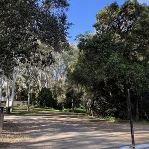 Petrie Park