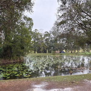 Chatsworth Park