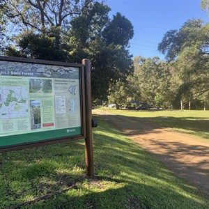 Glastonbury Creek Camping Area (Brooyar State Forest)