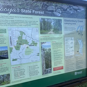 Glastonbury Creek Camping Area (Brooyar State Forest)