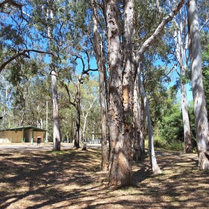 Rifle Creek Rest Area