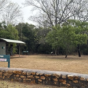 Forty Mile Scrub National Park