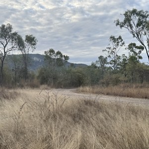 Reid River