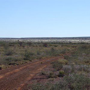 Puntawarri Track