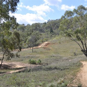 Bridle Track - Mary Flynn Reserve