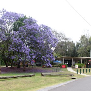 Kiosk and park at Wisemans Ferry