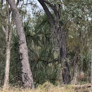Campaspe River Rest Area