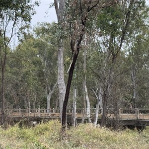 Campaspe River Rest Area