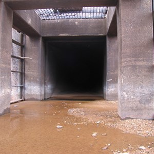 Tunnel portal from inside trashrack