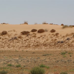Dune country