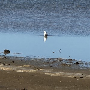 Halligan Bay Campsite