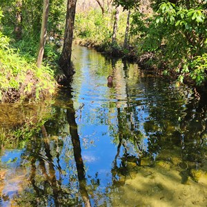 Walker Creek