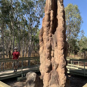 Magnetic Termite Mounds - Litchfield NP