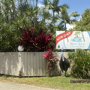 River Drive Caravan Park