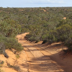 Track winding through the dunes