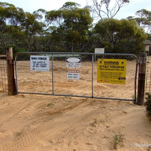Dog Fence, Goog's Track (South)