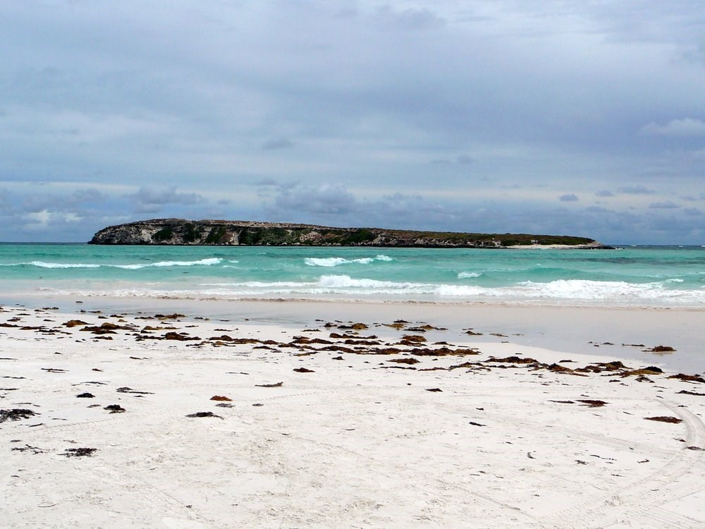 Wedge Island WA ExplorOz Places