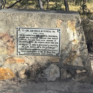 Nogoa River Campground