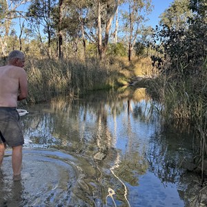 Nogoa River Campground