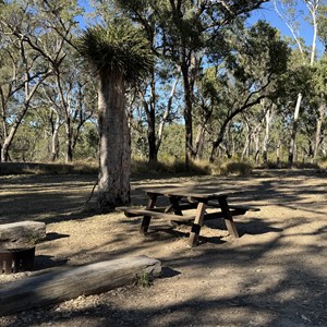 Nogoa River Campground