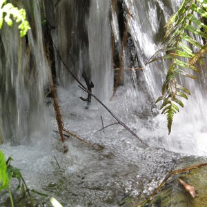 Natural spring water