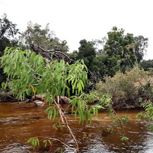 Portland Roads Rd - Pascoe River Crossing