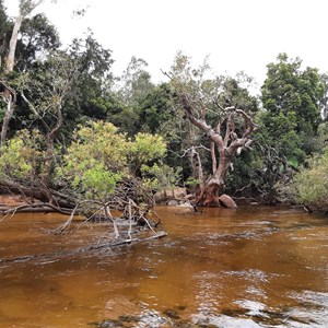 Portland Roads Rd - Pascoe River Crossing