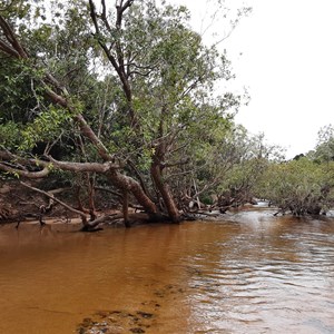 Portland Roads Rd - Pascoe River Crossing