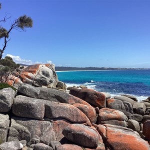 Bay of Fires Camp Area