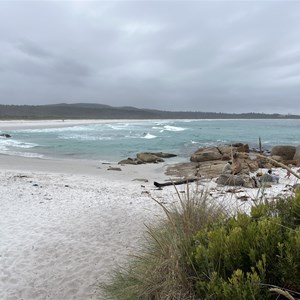 Bay of Fires Camp Area