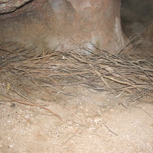 Breaden Bluff Caves 