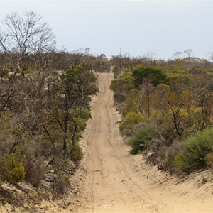 Sandy track through heath
