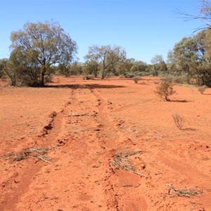 Dawsons "Boggy Hole" - Gary Hwy - The marks left now 12 years old!