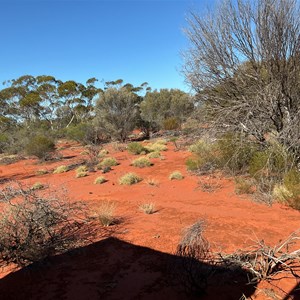 Turn Off for Plumridge Lakes Viewing Area