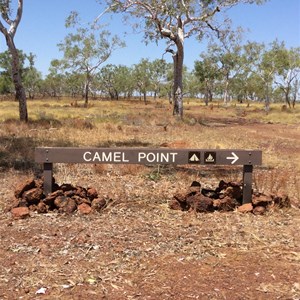 Camel Point Turn Off