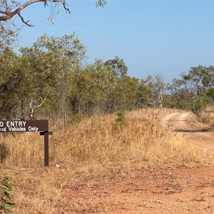 Bullita Stock Route (End)