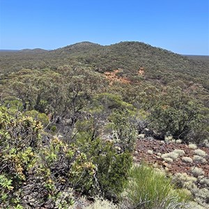 Ridge near Bungalbin Hill