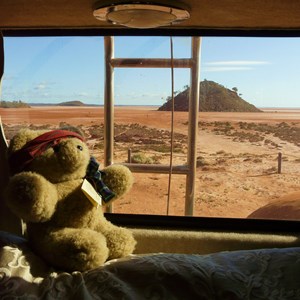 Tambo Teddy loved the view