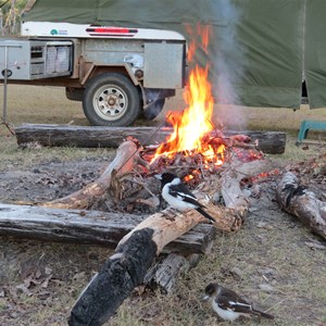 A fire and a feed at zero degrees
