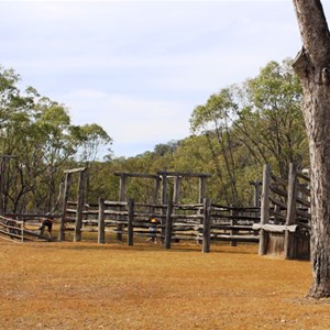 The Old Stockyards near the Information Centre