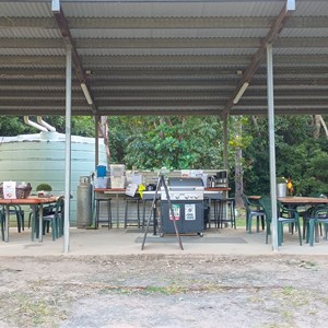 Endeavour River Escape