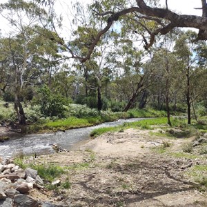 Suggan Buggan Campground