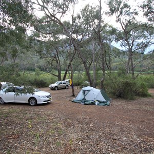 Campsite 50m from Snowy River