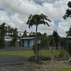 Big4 Innisfail Mango Tree Tourist Park