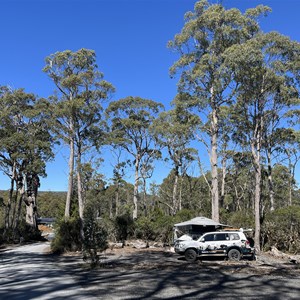Discovery Holiday Parks - Cradle Mountain