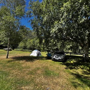 Weldborough Hotel Campground