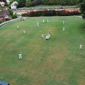 A Game of Cricket